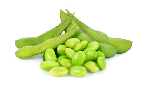 鸡膏是什么调料-鸡膏价格网 - 网站提供鸡膏是什么调料小常识、鸡膏是怎么做成的