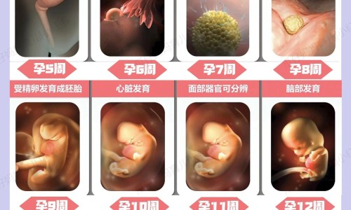 鸡膏价格网 - 网站提供鸡膏是什么调料小常识、鸡膏是怎么做成的