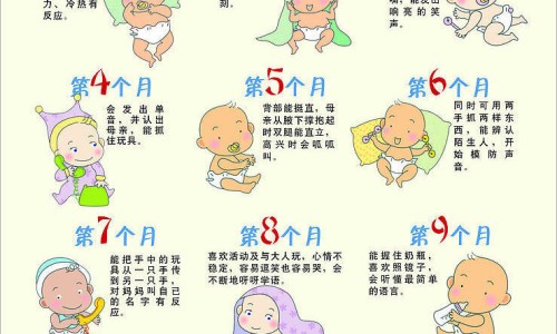 市场上好的鸡膏有哪些-鸡膏价格网 - 网站提供鸡膏是什么调料小常识、鸡膏是怎么做成的